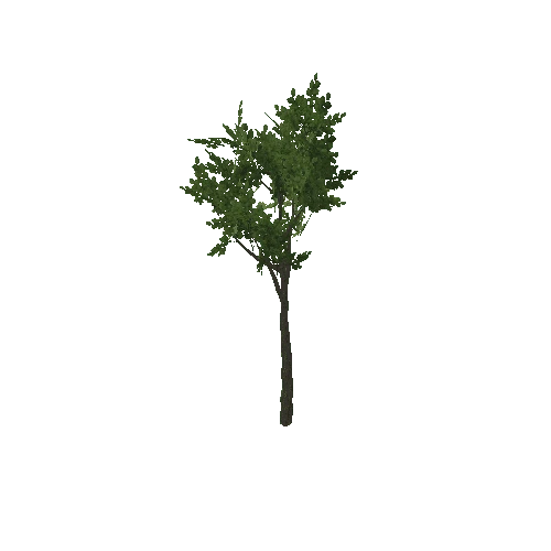 Green Tree (Type 2) Medium 4